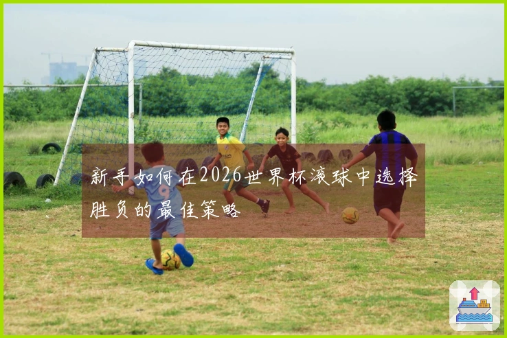 新手如何在2026世界杯滚球中选择胜负的最佳策略
