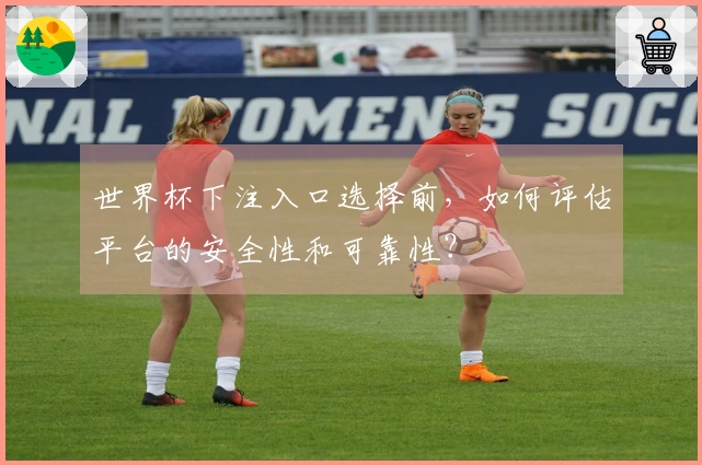世界杯下注入口选择前，如何评估平台的安全性和可靠性？