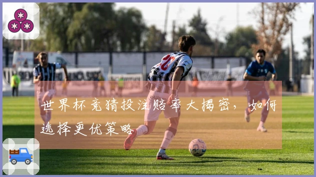 世界杯竞猜投注赔率大揭密，如何选择更优策略