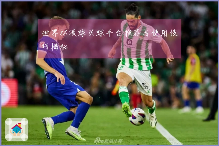 世界杯滚球买球平台推荐与使用技巧揭秘
