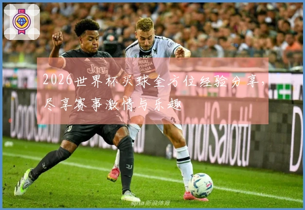 2026世界杯买球全方位经验分享，尽享赛事激情与乐趣