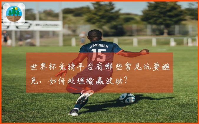 世界杯竞猜平台有哪些常见坑要避免,如何处理输赢波动?