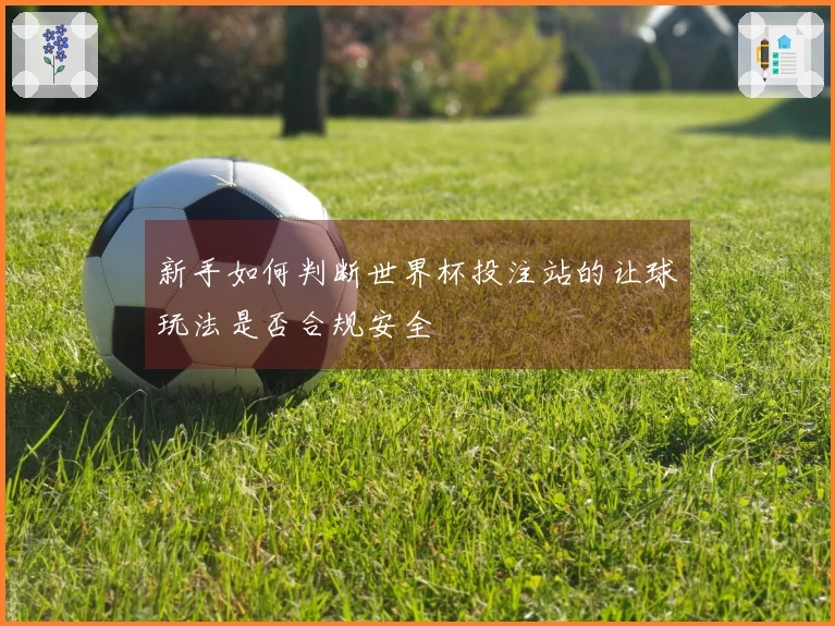 新手如何判断世界杯投注站的让球玩法是否合规安全