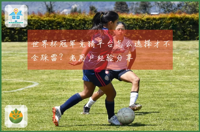 世界杯冠军竞猜平台怎么选择才不会踩雷？老用户经验分享