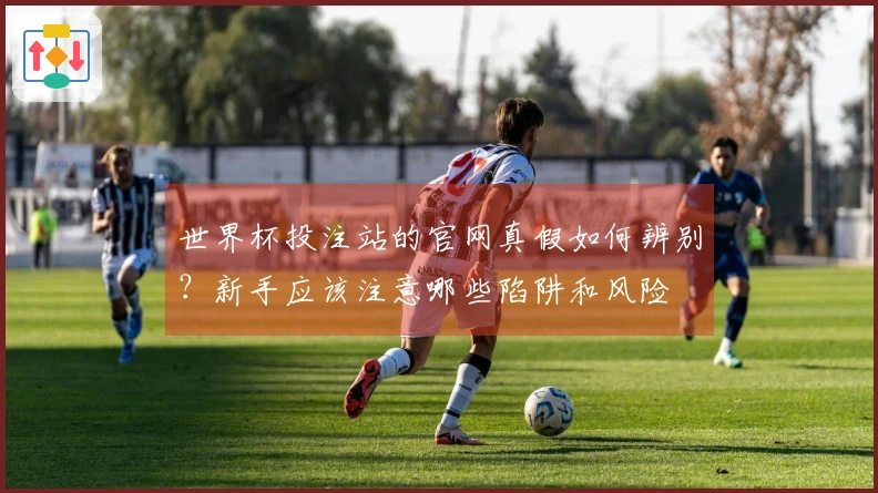 世界杯投注站的官网真假如何辨别？新手应该注意哪些陷阱和风险