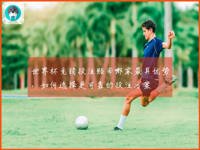 世界杯竞猜投注赔率哪家最具优势，如何选择更可靠的投注方案