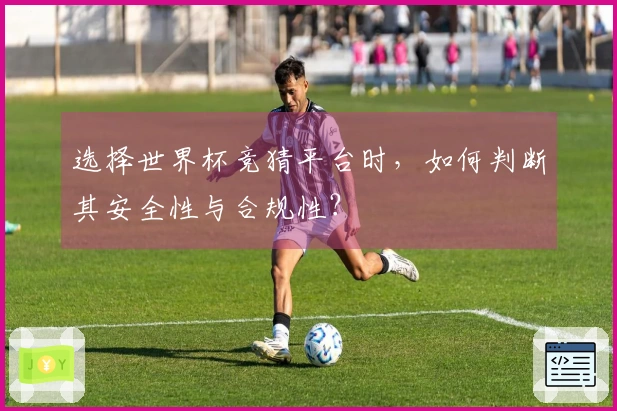 选择世界杯竞猜平台时，如何判断其安全性与合规性？