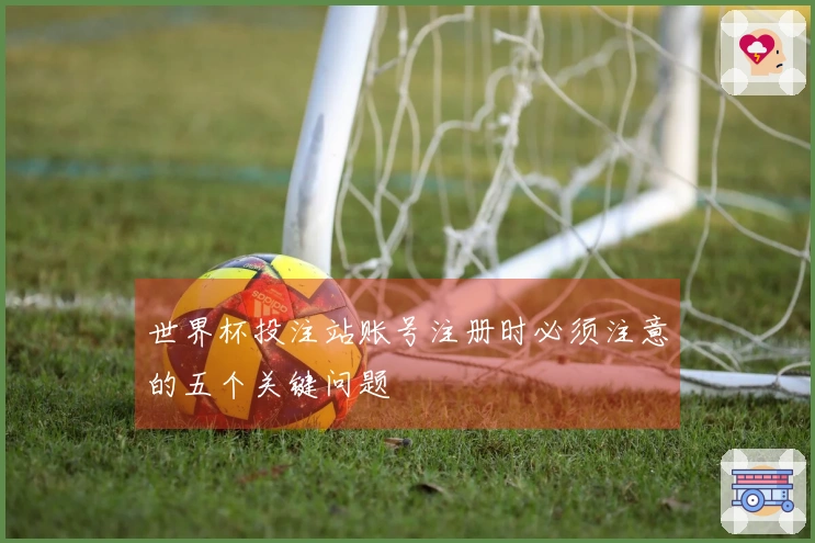 世界杯投注站账号注册时必须注意的五个关键问题