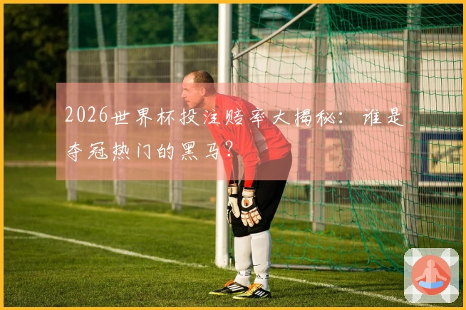 2026世界杯投注赔率大揭秘：谁是夺冠热门的黑马？