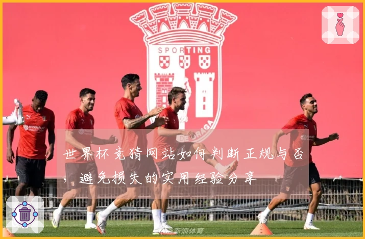 世界杯竞猜网站如何判断正规与否，避免损失的实用经验分享