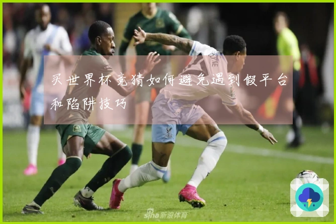 买世界杯竞猜如何避免遇到假平台和陷阱技巧