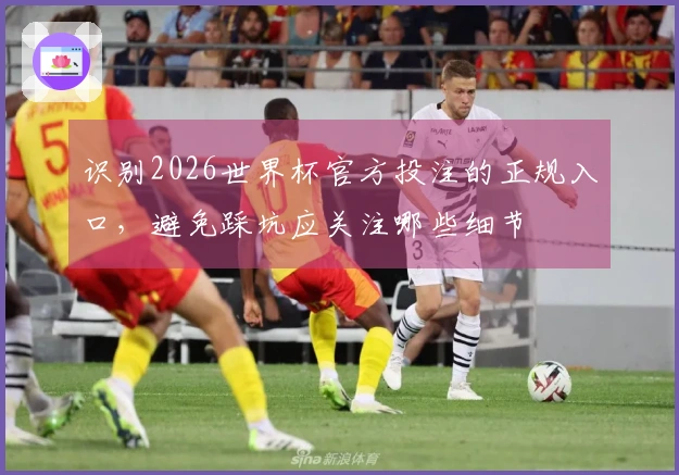 识别2026世界杯官方投注的正规入口，避免踩坑应关注哪些细节