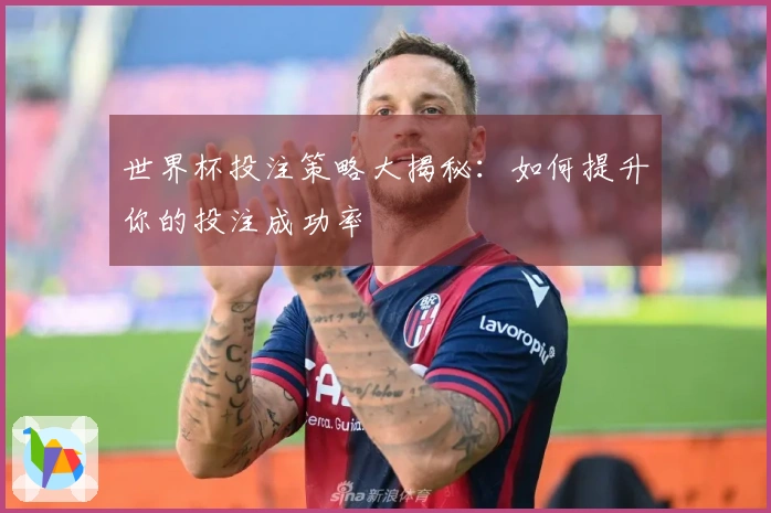 世界杯投注策略大揭秘：如何提升你的投注成功率