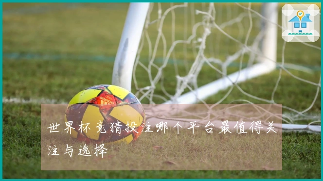 世界杯竞猜投注哪个平台最值得关注与选择