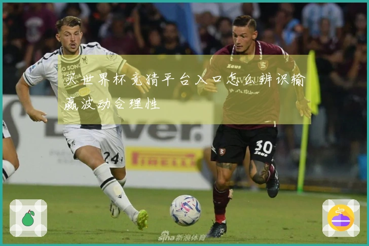 买世界杯竞猜平台入口怎么辨识输赢波动合理性