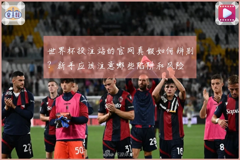 世界杯投注站的官网真假如何辨别？新手应该注意哪些陷阱和风险