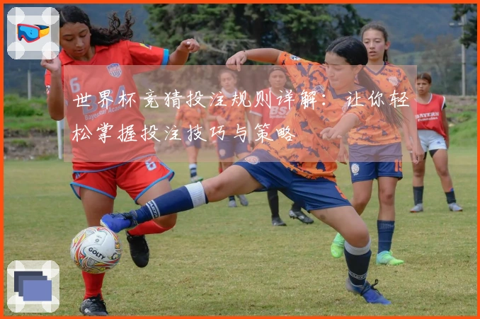 世界杯竞猜投注规则详解：让你轻松掌握投注技巧与策略