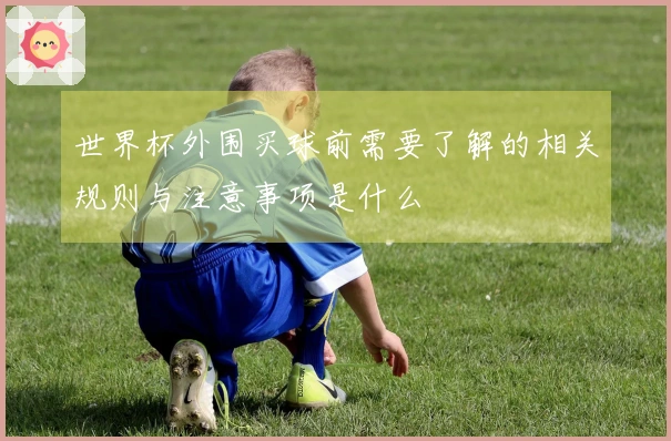 世界杯外围买球前需要了解的相关规则与注意事项是什么