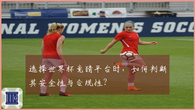 选择世界杯竞猜平台时，如何判断其安全性与合规性？