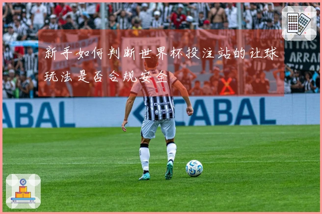 新手如何判断世界杯投注站的让球玩法是否合规安全