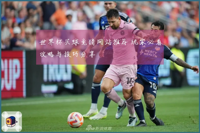 世界杯买球竞猜网站推荐 玩家必看攻略与技巧分享
