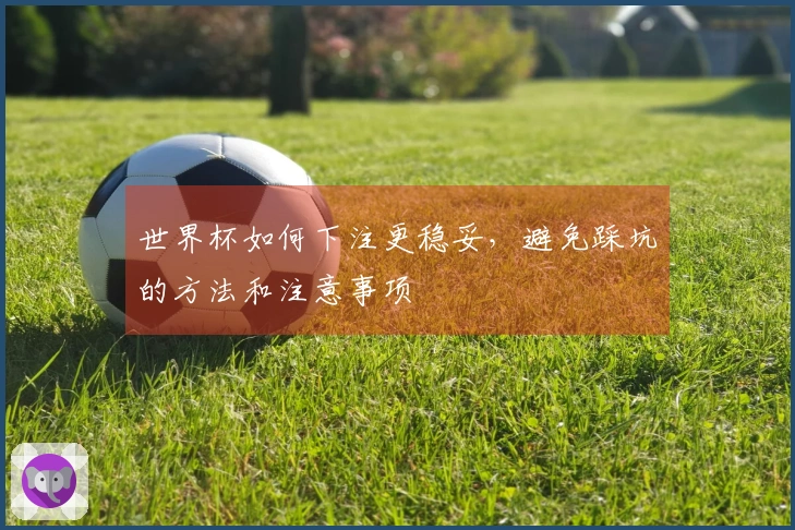 世界杯如何下注更稳妥，避免踩坑的方法和注意事项