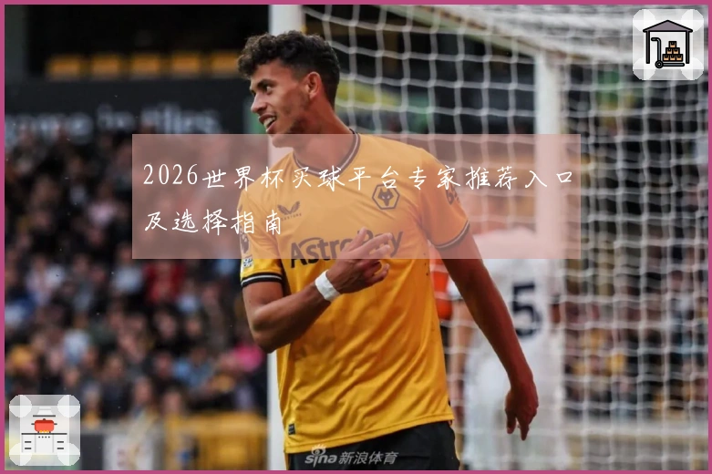 2026世界杯买球平台专家推荐入口及选择指南