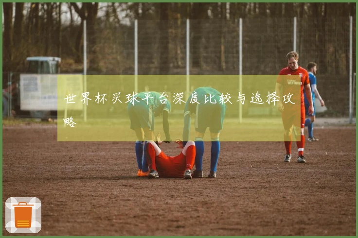 世界杯买球平台深度比较与选择攻略