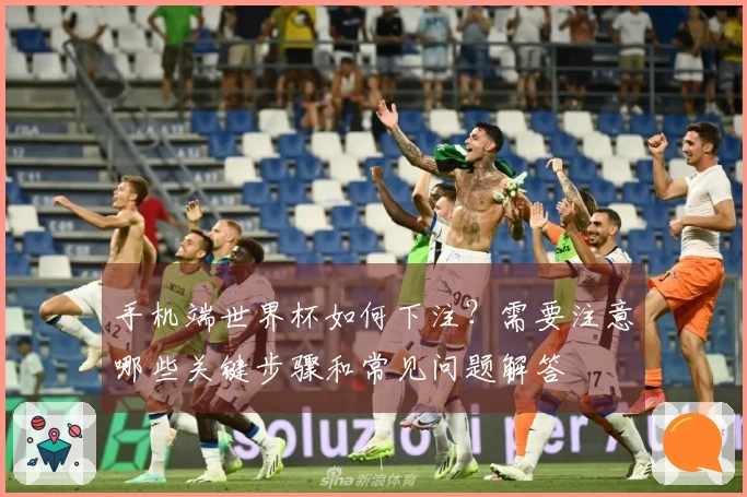 手机端世界杯如何下注？需要注意哪些关键步骤和常见问题解答