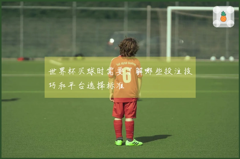 世界杯买球时需要了解哪些投注技巧和平台选择标准