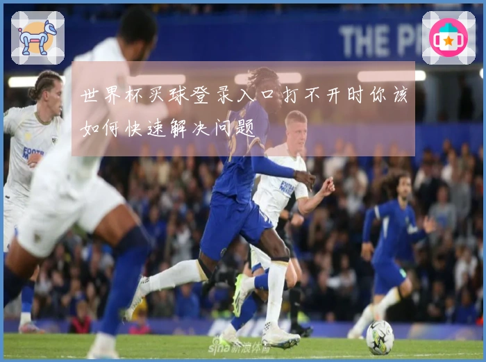 世界杯买球登录入口打不开时你该如何快速解决问题