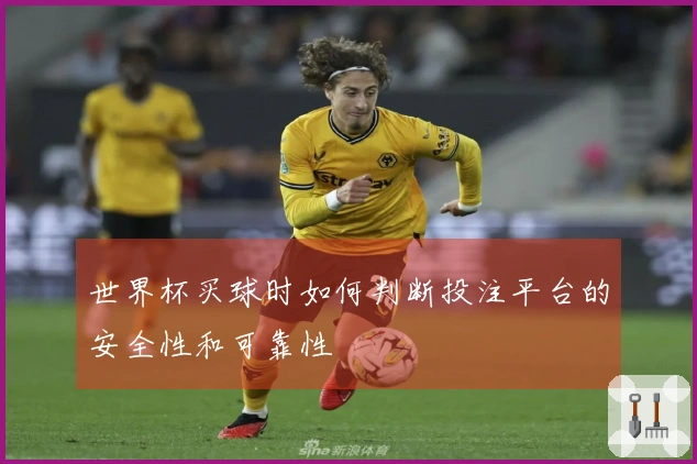 世界杯买球时如何判断投注平台的安全性和可靠性